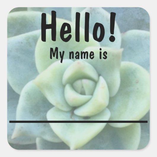 Blauw Groen Succulent Naam tag Stickers (Voorkant)