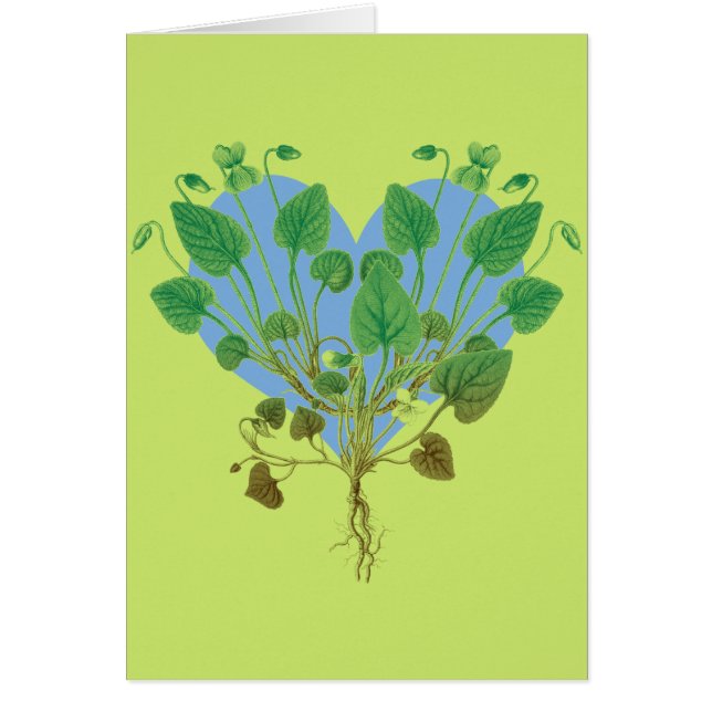 Blauw hart groene bladeren (Voorkant)