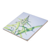 Blauw hemelgroen Plant laat paars bloemen Tegeltje (Zijkant)