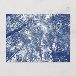Blauw herfst - Cyanotype-effect Briefkaart