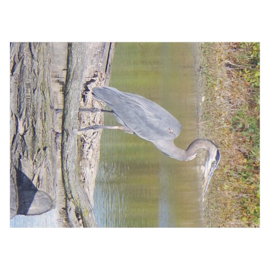 Blauw Heron tafelkleed (Voorkant (Horizontaal))