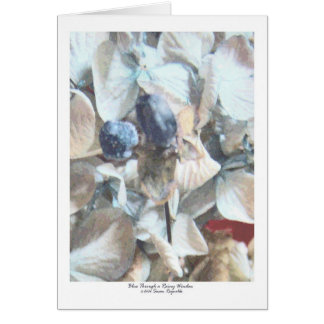 Blauw Hoewel een regenachtig venster