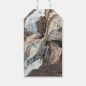 Blauw hoofd Agama Cadeaulabel (Achterkant)