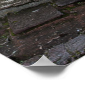 BLAUW HOUDEN DEUR PANEL IN WITTE BOUW POSTER (Hoek)