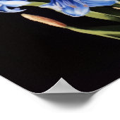 Blauw Hyacint Bloemenkunst Print Poster (Hoek)