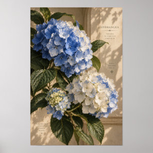 Blauw Hydrangea Bloemstuk Muurkunst Vintage Poster