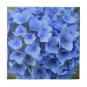 Blauw Hydrangea Bloom Floral Tegeltje (Voorkant)