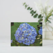 Blauw - Hydrangea Briefkaart (Staand voorkant)