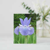 blauw Indigosiberiaans Iris Bloom Briefkaart (Staand voorkant)