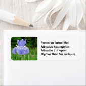  blauw Indigosiberiaans Iris Bloom Etiket (Insitu)
