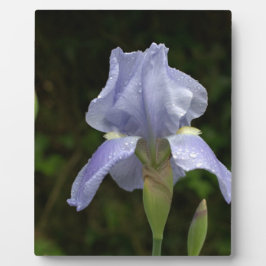 Blauw Iris Floral Raindrops EASEL Fotoplaat