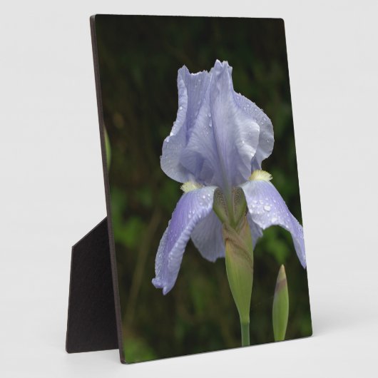  Blauw Iris Floral Raindrops EASEL Fotoplaat (Zijkant)