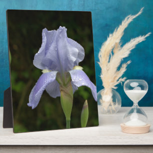  Blauw Iris Floral Raindrops EASEL Fotoplaat