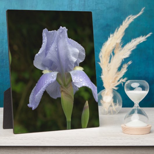  Blauw Iris Floral Raindrops EASEL Fotoplaat (Zijkant)