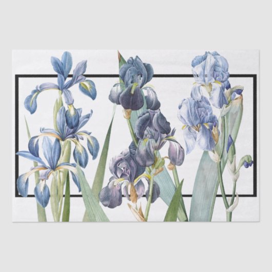 Blauw Iris Flowers Redoute Floral Weefpapier Tissuepapier (Voorkant)