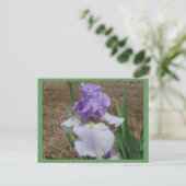 Blauw irisbriefkaart. briefkaart (Staand voorkant)