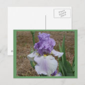 Blauw irisbriefkaart. briefkaart (Voorkant / Achterkant)