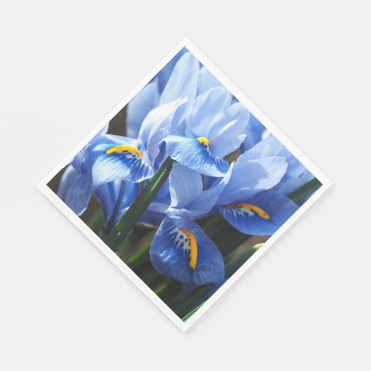 blauw irisservet servet (Hoek)