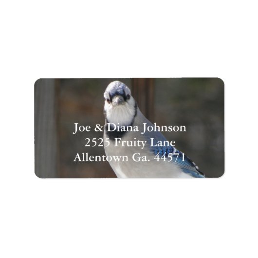 Blauw Jay adreslabel Etiket (Voorkant)