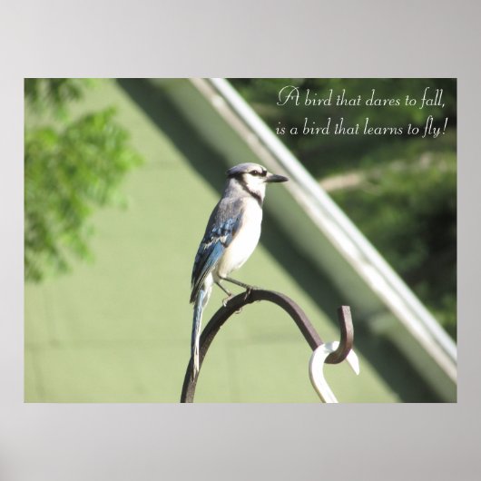 Blauw Jay Foto Inspirerend Quote Poster (Voorkant)