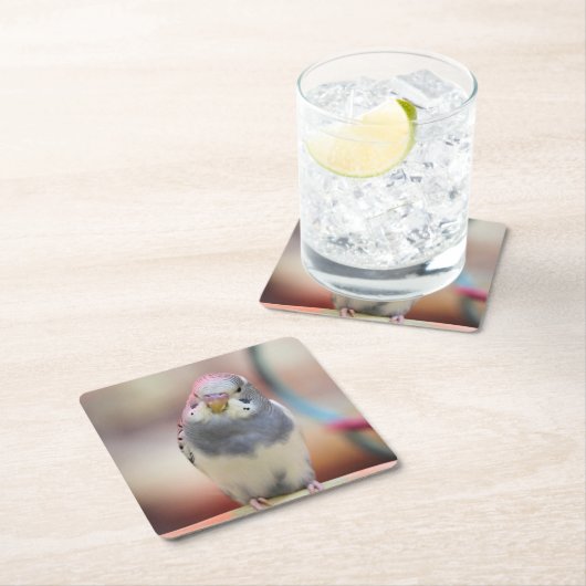 Blauw Kartonnen Onderzetters (Insitu)