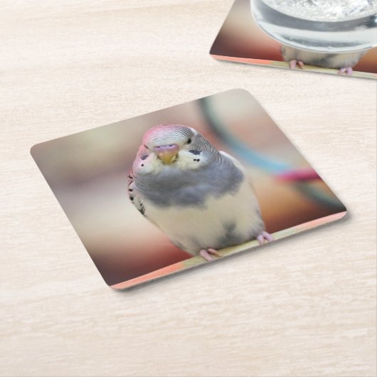 Blauw Kartonnen Onderzetters (Schuin)