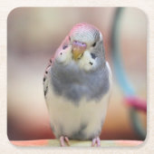 Blauw Kartonnen Onderzetters (Voorkant)