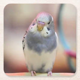 Blauw Kartonnen Onderzetters