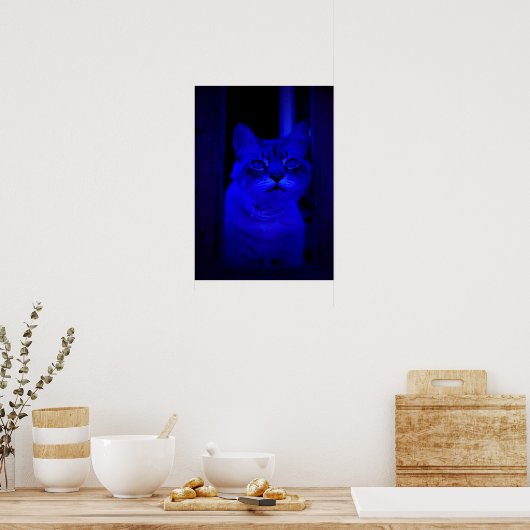 Blauw Kat Poster (Keuken)