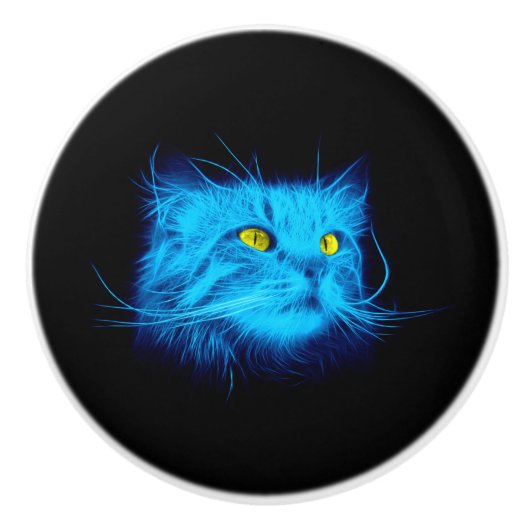 Blauw katje keramische knop (Voorkant)