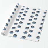 Blauw katje oog patroon cadeaupapier (Uitgerold)