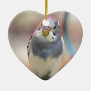 Blauw Keramisch Ornament