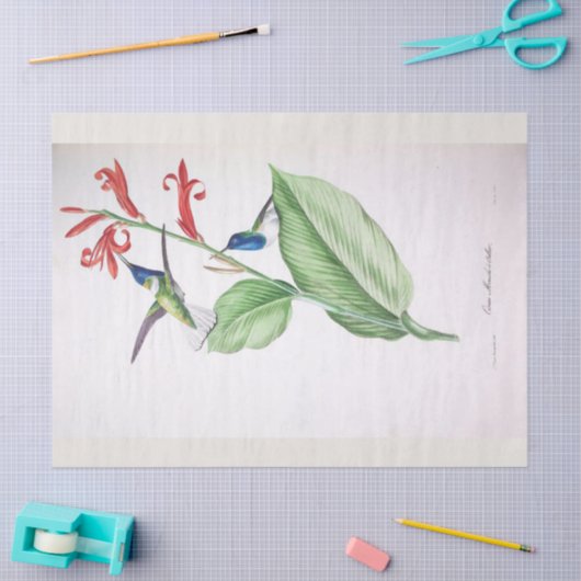  Blauw Kolibrie Ephemera Decoupage Tissuepapier (Craft)