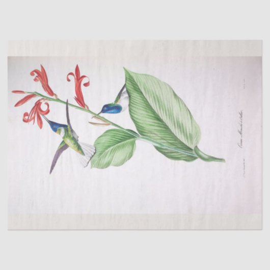  Blauw Kolibrie Ephemera Decoupage Tissuepapier (Voorkant)