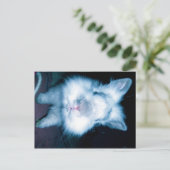 blauw konijn briefkaart (Staand voorkant)