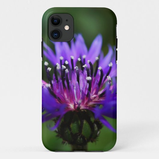 Blauw korenbloem bloedig bloesems Vredesliefhebber Case-Mate iPhone Case (Achterkant)