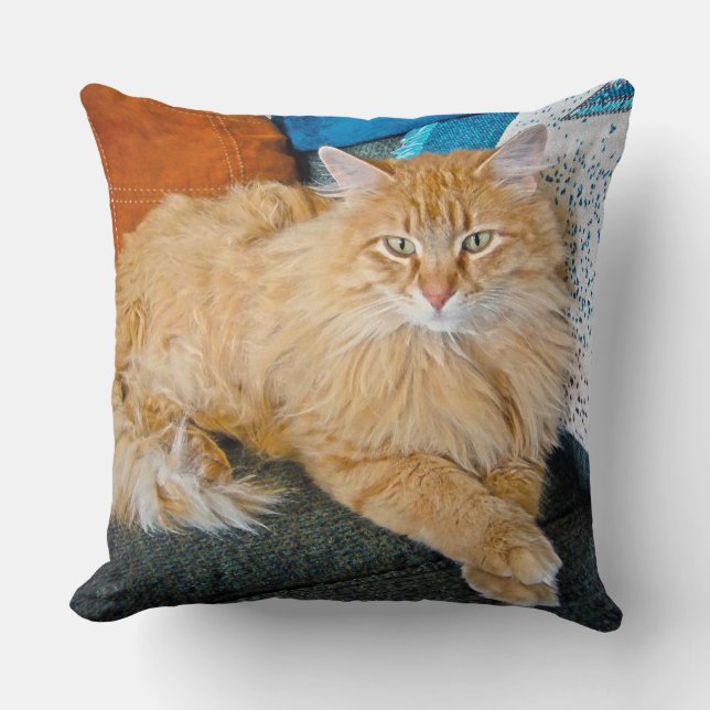 blauw kussen (Voorkant)