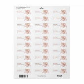 Blauw Kust Chic Blush roze Zeeschelp Etiket (Full Sheet)