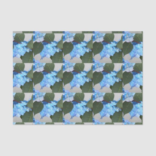 Blauw Lacecap Hydrangea Floral Patroonpapier Tissuepapier (Voorkant)