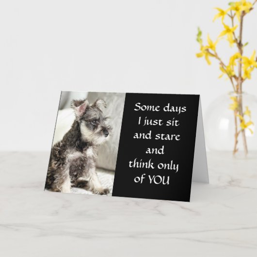 **BLAUW LANG EN ZO ZEI " **MIST JULLIE** KAART (Gele Bloem)