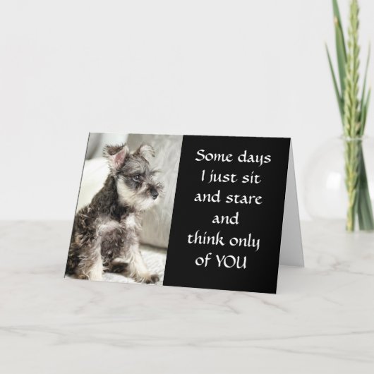 **BLAUW LANG EN ZO ZEI " **MIST JULLIE** KAART (Voorkant)