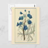  blauw-larkspurventiel briefkaart (Voorkant / Achterkant)