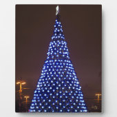 Blauw licht kerstboom fotoplaat (Voorkant)