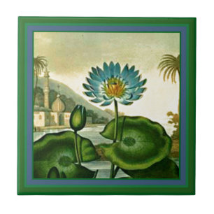  blauw Lotus Flower Green Leaves Tegeltje