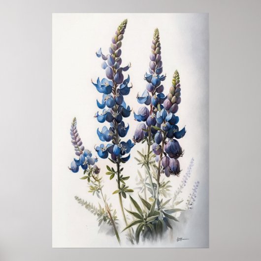 Blauw Lupine Flowers Art Print Poster (Voorkant)