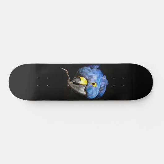 Blauw Macaw Skateboard (Horizontaal)