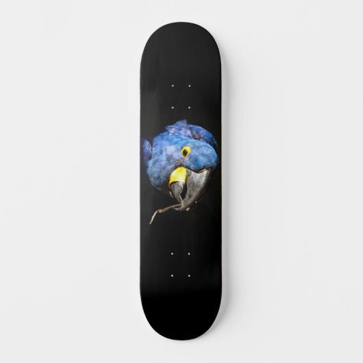 Blauw Macaw Skateboard (Voorkant)