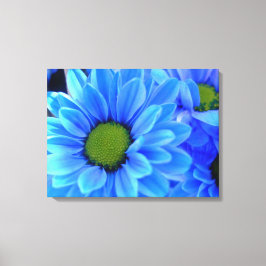 Blauw madeliefje verpakt canvas afdruk