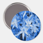 Blauw... Magneet (Voorkant / Achterkant)
