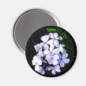 Blauw Magneet (Voorkant / Achterkant)